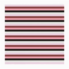 Stripey 5 Medium Glasses Cloth (2 Sides) by anthromahe