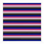 Stripey 9 Medium Glasses Cloth (2 Sides) Front