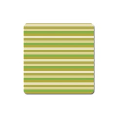 Stripey 11 Square Magnet by anthromahe