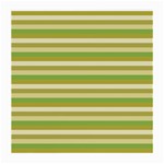 Stripey 11 Medium Glasses Cloth (2 Sides) Front