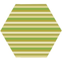 Stripey 11 Wooden Puzzle Hexagon by anthromahe