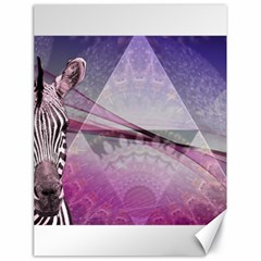 Egyptian Zebra Canvas 18  X 24  by mccallacoulture