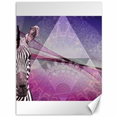 Egyptian Zebra Canvas 36  X 48  by mccallacoulture