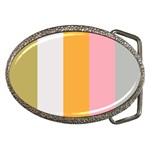 Stripey 23 Belt Buckles Front