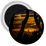 Silhouette Sunset Landscape Scene, Montevideo   Uruguay 3  Magnets Front