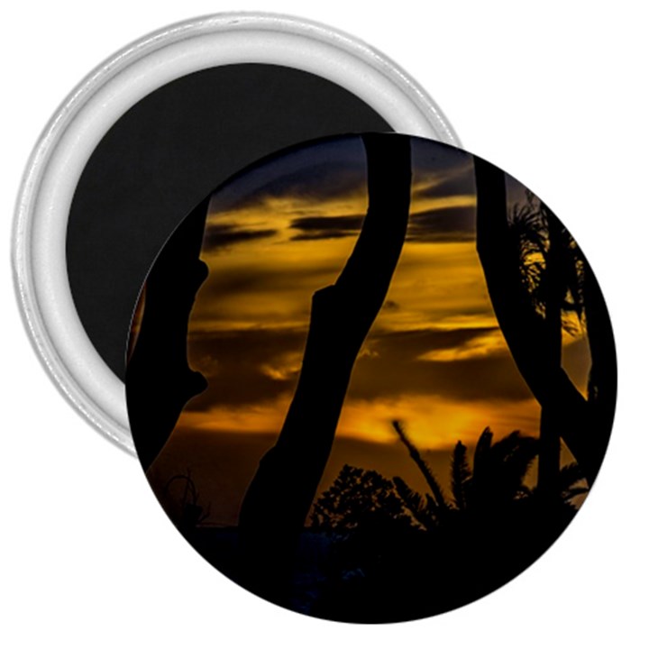 Silhouette Sunset Landscape Scene, Montevideo   Uruguay 3  Magnets