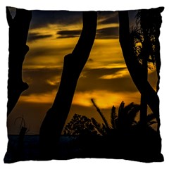 Silhouette Sunset Landscape Scene, Montevideo   Uruguay Large Cushion Case (one Side) by dflcprints