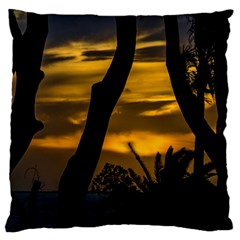 Silhouette Sunset Landscape Scene, Montevideo   Uruguay Standard Flano Cushion Case (one Side)