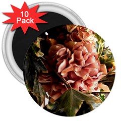 Begonia 1 1 3  Magnets (10 Pack)  by bestdesignintheworld