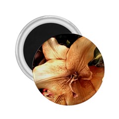 Lilies 1 3 2 25  Magnets by bestdesignintheworld