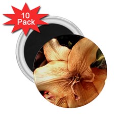 Lilies 1 3 2 25  Magnets (10 Pack)  by bestdesignintheworld