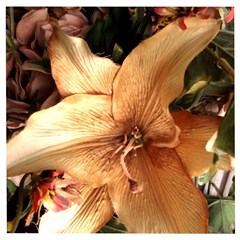 Lilies 1 3 Wooden Puzzle Square