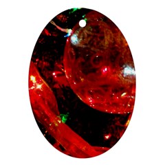 Christmas Tree  1 14 Oval Ornament (Two Sides)