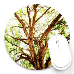 Hot Day In Dallas 14 Round Mousepads by bestdesignintheworld