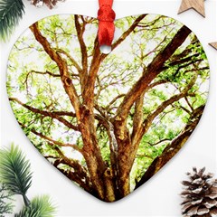 Hot Day In Dallas 14 Ornament (heart) by bestdesignintheworld