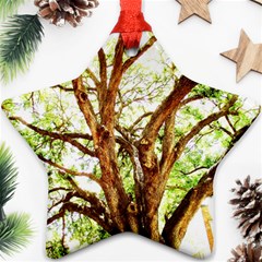 Hot Day In Dallas 14 Ornament (star) by bestdesignintheworld