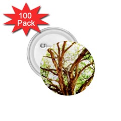 Hot Day In Dallas 14 1 75  Buttons (100 Pack)  by bestdesignintheworld