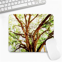 Hot Day In Dallas 14 Large Mousepads by bestdesignintheworld