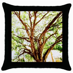 Hot Day In Dallas 14 Throw Pillow Case (black) by bestdesignintheworld