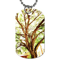 Hot Day In Dallas 14 Dog Tag (one Side) by bestdesignintheworld