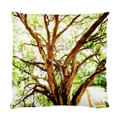 Hot Day In Dallas 14 Standard Cushion Case (two Sides) by bestdesignintheworld