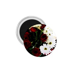 Roses 1 2 1 75  Magnets by bestdesignintheworld