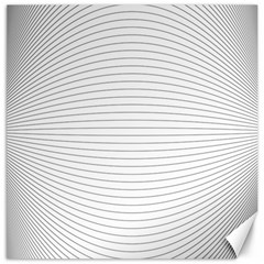 Pattern Background Monochrome Canvas 20  x 20 