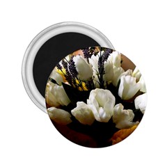 Tulips 1 3 2 25  Magnets by bestdesignintheworld