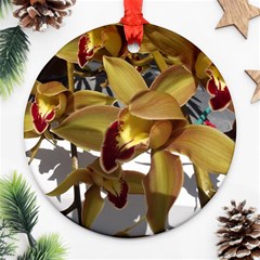 Orchids  1 1 Ornament (round) by bestdesignintheworld