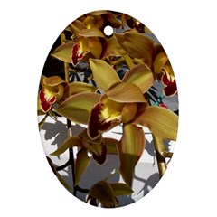 Orchids  1 1 Oval Ornament (two Sides)