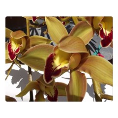 Orchids  1 1 Double Sided Flano Blanket (large)  by bestdesignintheworld