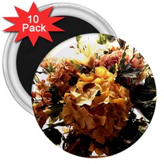 Begonia 1 2 3  Magnets (10 Pack)  by bestdesignintheworld