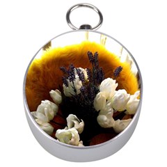 Tulips 1 2 Silver Compasses by bestdesignintheworld