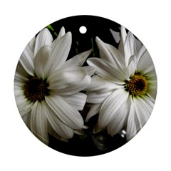 Daisies Ornament (round) by bestdesignintheworld