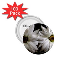 Daisies 1 75  Buttons (100 Pack)  by bestdesignintheworld