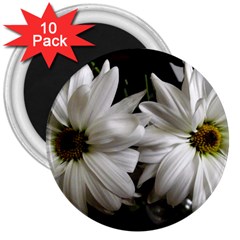 Daisies 3  Magnets (10 Pack)  by bestdesignintheworld