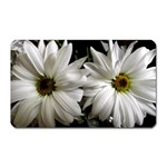 Daisies Magnet (Rectangular) Front