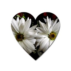 Daisies Heart Magnet by bestdesignintheworld