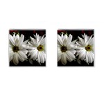 Daisies Cufflinks (Square) Front(Pair)