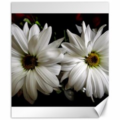 Daisies Canvas 8  X 10  by bestdesignintheworld