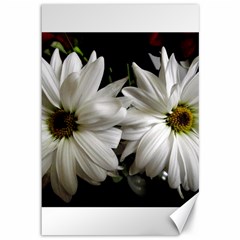 Daisies Canvas 12  X 18  by bestdesignintheworld