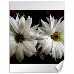 Daisies Canvas 18  X 24  by bestdesignintheworld