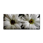 Daisies Hand Towel Front