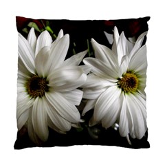 Daisies Standard Cushion Case (two Sides) by bestdesignintheworld