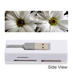 Daisies Memory Card Reader (stick) by bestdesignintheworld