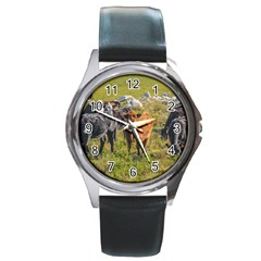 Cows At Countryside, Maldonado Department, Uruguay Round Metal Watch by dflcprints