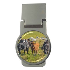 Cows At Countryside, Maldonado Department, Uruguay Money Clips (round)  by dflcprints