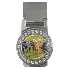 Cows At Countryside, Maldonado Department, Uruguay Money Clips (cz)  by dflcprints