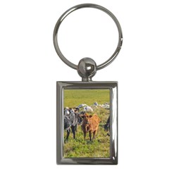 Cows At Countryside, Maldonado Department, Uruguay Key Chain (rectangle) by dflcprints