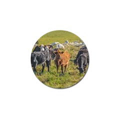 Cows At Countryside, Maldonado Department, Uruguay Golf Ball Marker (10 Pack) by dflcprints